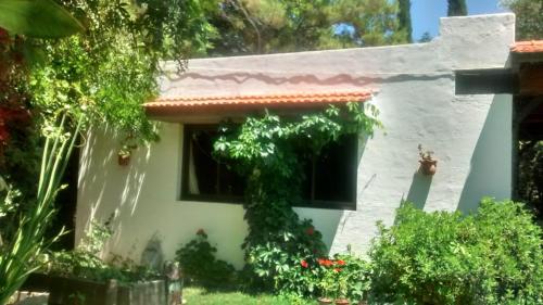 Κήπος έξω από το Casa en Luján de Cuyo con pileta