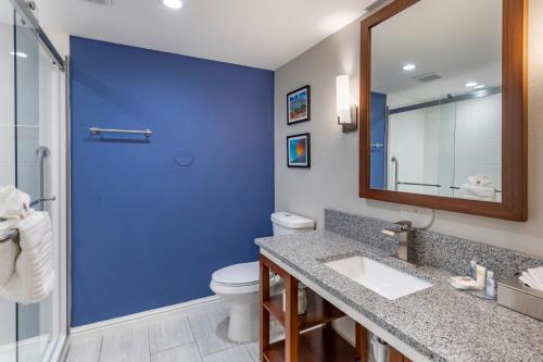 baño con aseo y puerta azul en Comfort Suites St Louis - Sunset Hills, en Saint Louis