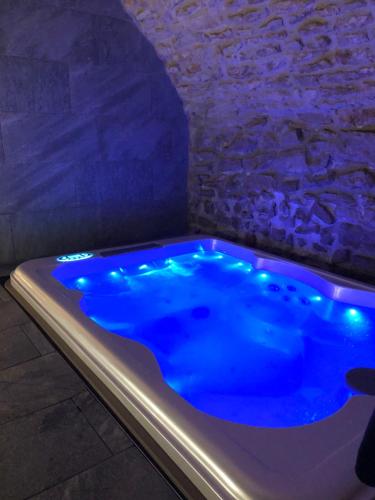 eine Whirlpool-Badewanne in einem Zimmer mit einer Steinmauer in der Unterkunft jaccuzi & spa des caves Stanislas in Nancy