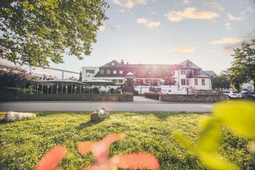 ein Grasfeld mit Häusern im Hintergrund in der Unterkunft Hotel Deutschherrenhof in Zeltingen-Rachtig