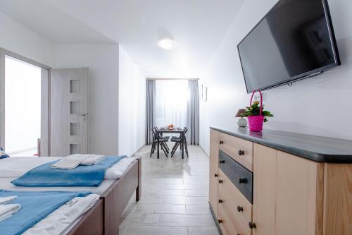 Μια τηλεόραση ή/και κέντρο ψυχαγωγίας στο Apartament "Chamesz" Dziwnówek