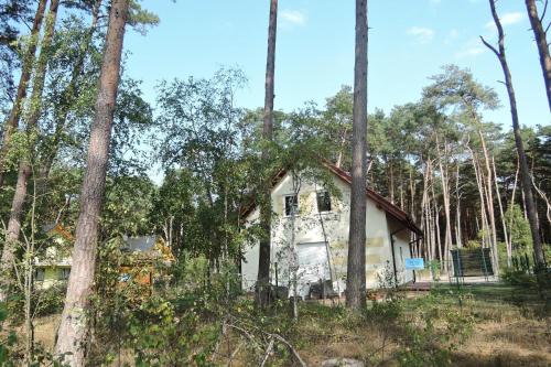 una casa en el bosque con árboles en Big holiday home in Lukecin for 9 persons, en Łukęcin