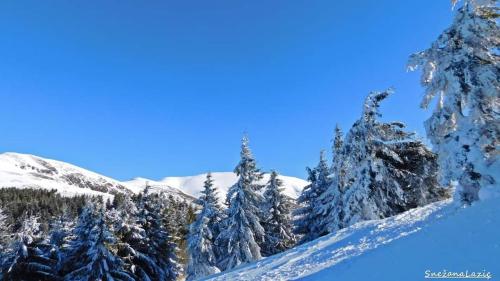 Stara Planina Vila Vesela kuca ziemā