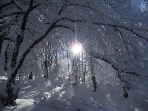 Stara Planina Vila Vesela kuca ziemā