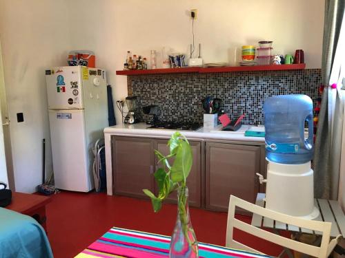 a kitchen with a refrigerator and a plant in a vase at Cozy Little Apartment in Sayulita