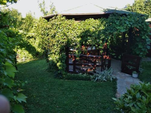 un jardin avec une clôture recouverte de lierre dans l'établissement Apartmani Zapis Vrdnik, à Vrdnik