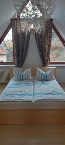 een bed met 2 kussens voor een raam bij Winzerhaus Rissweg 15 in Dresden