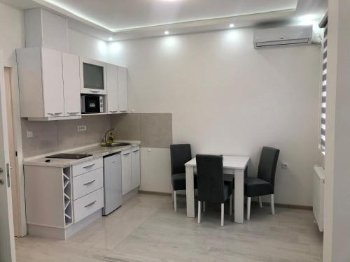 Kuhinja oz. manjša kuhinja v nastanitvi Apartman Silver Star