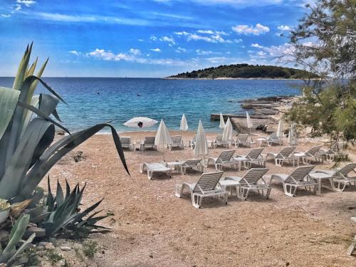 una spiaggia con sedie e ombrelloni e l'oceano di Boutique Hotel Life a Rogoznica (Rogosnizza)