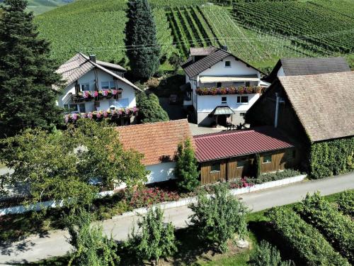 eine Luftansicht eines Hauses auf einem Weinberg in der Unterkunft Gästehaus Wörner in Durbach