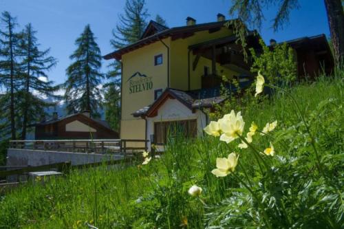 een gebouw op een heuvel met bloemen ervoor bij Stelviostay Residence Stelvio in Valdisotto