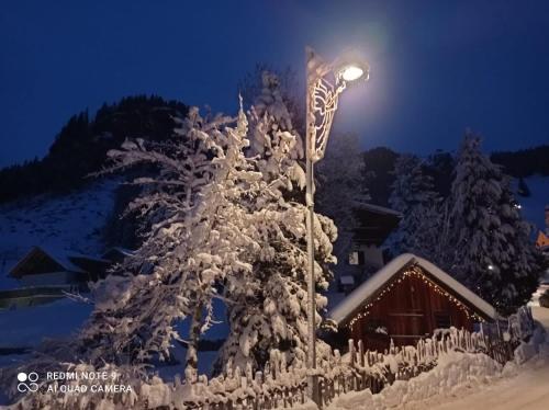 Luxury Chalet Orchidea að vetri til