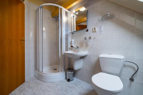 a bathroom with a toilet and a sink and a shower at Hotel U Vlašského Dvora in Kutná Hora