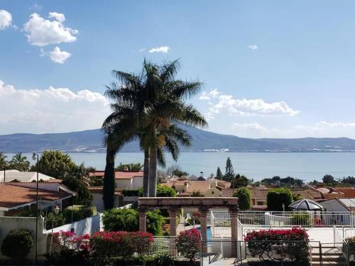 palma i widok na wodę w obiekcie Casa Bella vista w mieście San Juan Cosalá