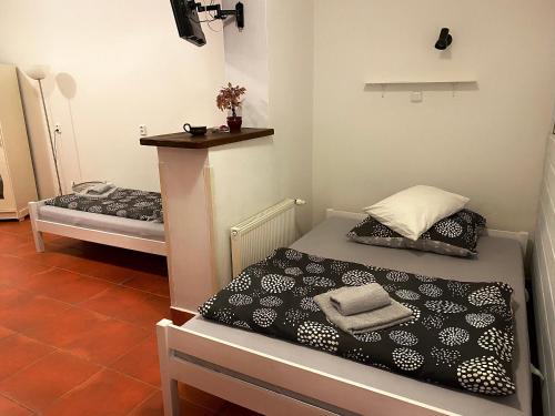 een kamer met 2 bedden in een kamer bij Freedom apartment in Loket