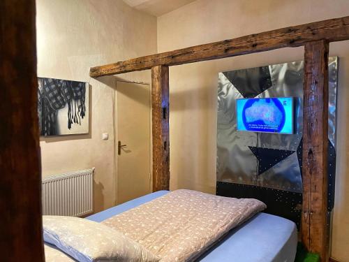 a bedroom with a canopy bed with a tv at The House a la Cluj in Cluj-Napoca