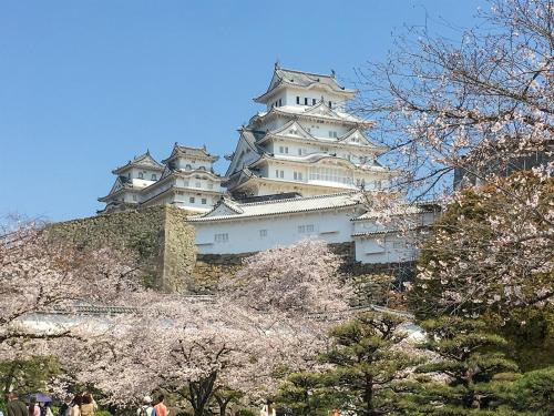 姬路白盐旅馆的一座大白色的建筑,位于一座树木繁茂的山顶上