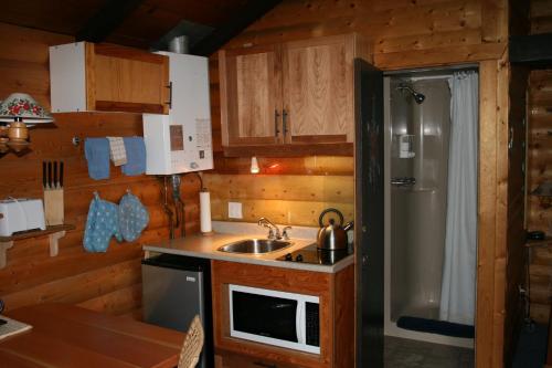 A cozinha ou cozinha compacta de Rocky Mountain Cabins and Home