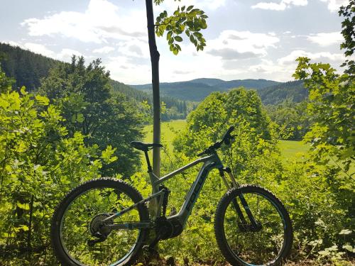 una bicicletta parcheggiata accanto a un albero in un campo di Hotel Winterberg Resort a Winterberg