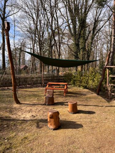 uma rede e um banco num parque com árvores em Märchenhütte- Campen am Wald und See em Neuruppin