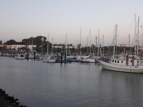 Um monte de barcos estão ancorados num porto. em Piso en ayamonte em Ayamonte