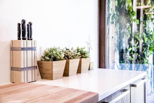 une cuisine avec trois plantes en pot sur un comptoir dans l'établissement Beach House Pedras D'el Rei, à Santa Luzia