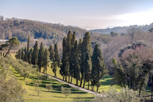 a road lined with trees in a field at Rivo della Corte in Pistoia