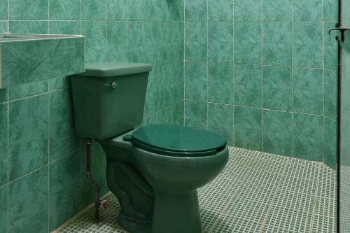 een groen toilet in een badkamer met groene tegels bij Hotel Costamar, Puerto Escondido in Puerto Escondido