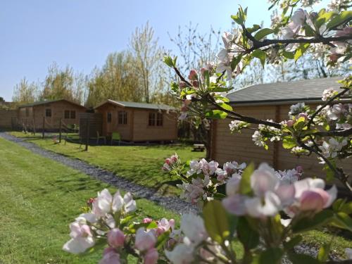 Gîtes entre mer et campagne, 3km de Berck les chalets du Fliers tesisinin dışında bir bahçe