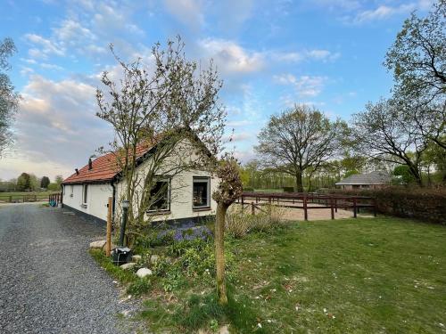 une petite maison blanche avec un arbre dans la cour dans l'établissement Tiny house Veluwse Garre, à Garderen