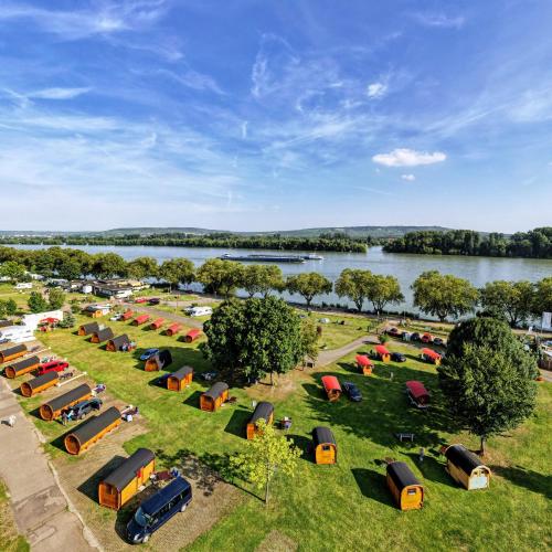 Rheingau 524 Schlaffassdorf direkt am Rhein