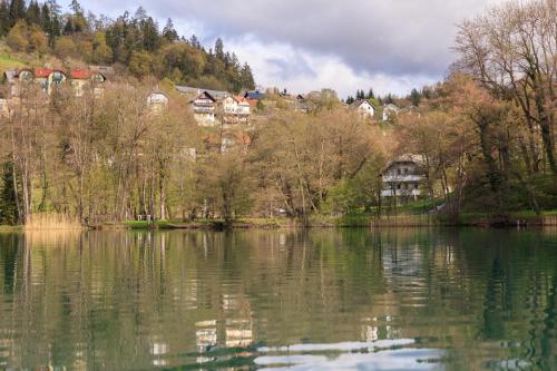 uma vista para um lago com casas ao fundo em Lake House Sebanc em Bled