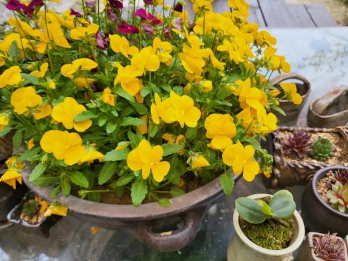 een pot gevuld met gele bloemen op een tafel bij Sori poonggyung in Jeonju