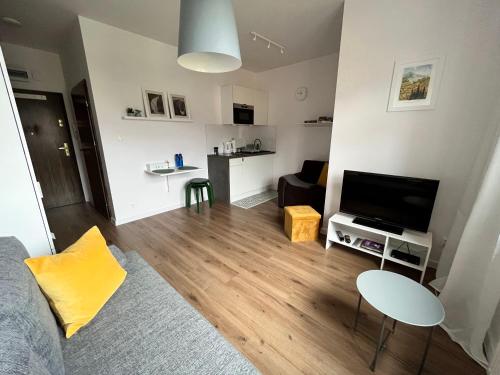 uma sala de estar com um sofá e uma televisão em Apartament Love Góry Karpacz Centrum em Karpacz