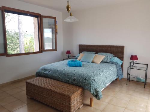 a bedroom with a bed with a blue comforter at Chambre d hôtes de la Louve in Fréjus