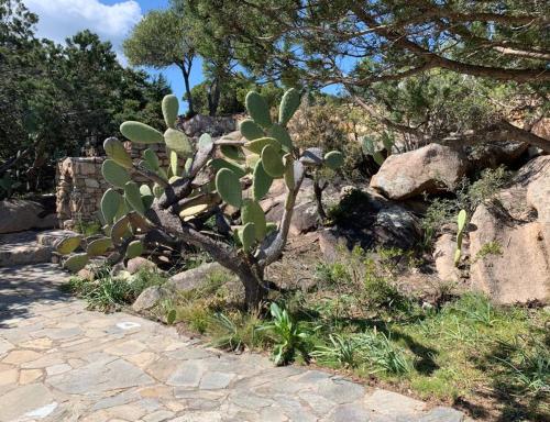 Un jardín fuera de Kirù Lovely Home - Villa Su Cuile, Cala Ginepro