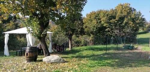 a picnic table under a tree in a field at C'era una volta in Castelnuovo Don Bosco