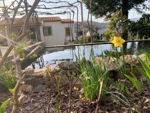 Afbeelding uit fotogalerij van Casas de campo em cerejal in Fundão