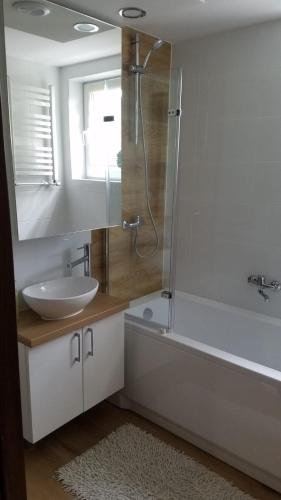 Apartament Zamość Granat tesisinde bir banyo