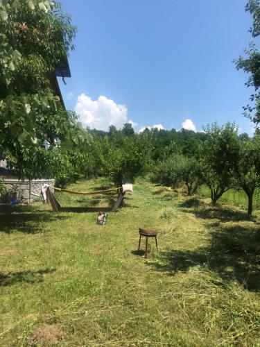 a park with a bench in the grass at Livada lui Papu in Izvoarele