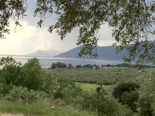 Un paisaje natural cerca de la casa de huéspedes