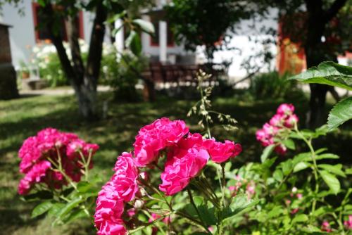 Jardí fora de Pensiunea Deceneu