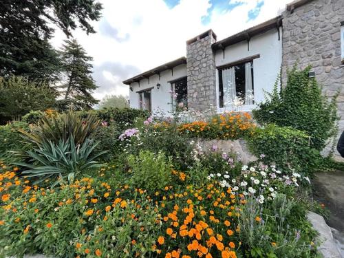 Garden sa labas ng Casa divina temporaria en Tafí Del Valle ,pleno centro