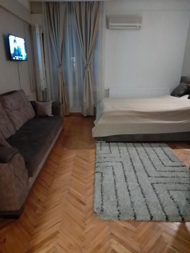 ein Wohnzimmer mit einem Sofa, einem Bett und einem Teppich in der Unterkunft Mario Sunce Apartmani in Niš