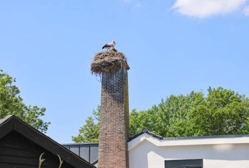 un oiseau perché au sommet d'une cheminée en briques dans l'établissement erve Middendorp, à Ansen