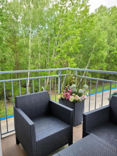 Balkon ili terasa u objektu Apartament LUNA Francuska Park