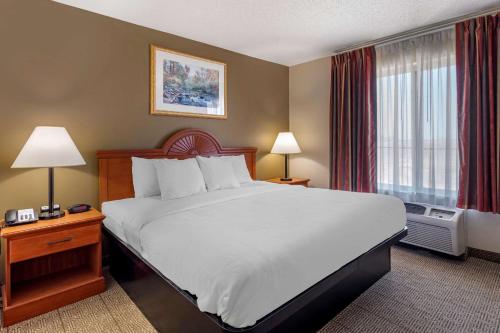 RockportにあるQuality Inn & Suites Rockport - Owensboro Northの大きなベッドと窓が備わるホテルルームです。