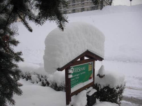 Pension Wiesenau durante o inverno