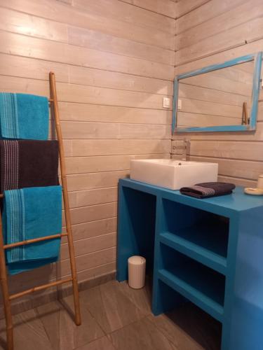 a bathroom with a blue sink and a mirror at VILLA DIAMANTILLES - MAISON D'HOTES in Le Diamant