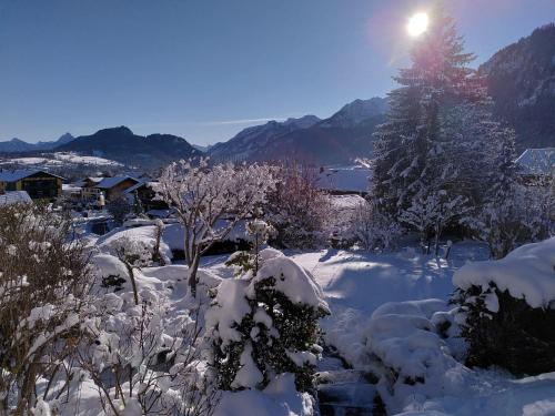 einen schneebedeckten Hof mit einem Baum und Bergen in der Unterkunft Sunrise Belvedere Pfronten in Pfronten